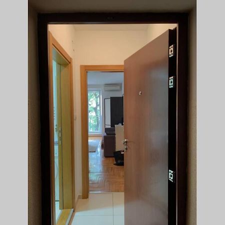 Renovated Cozy Studio 7 At Top Location - Available For Long Term Rentals Novi Sad Exterior foto